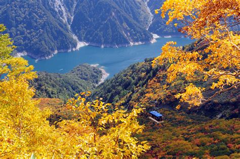 Tateyama Kurobe Alpine Route Autumn Day Tour Kkday