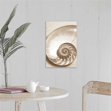 Sea Shell Wall Art Canvas Prints Framed Prints Wall Peels Great