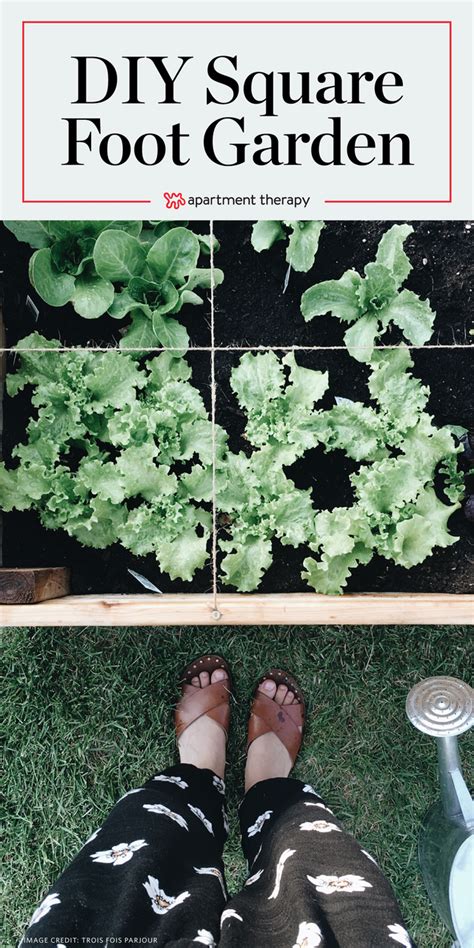 Square Foot Gardening Planning Spacing Benefits Apartment Therapy