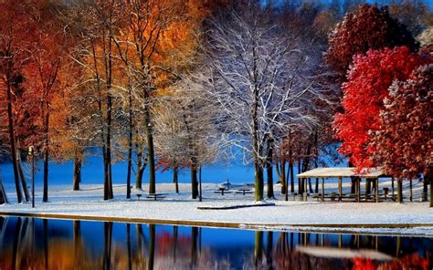 Wallpaper Sunlight Trees Landscape Colorful Fall Water Nature