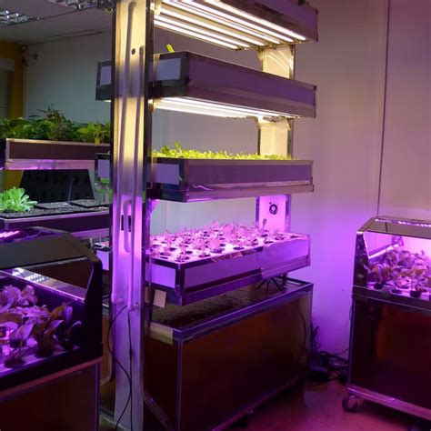 But i dont care to have pounds. T8 LED Grow Light Full Spectrum,Retrofit LED Grow Bulbs
