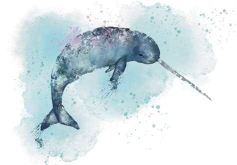 Narwhal Artwork Print A4 Sea Creatures Etsy