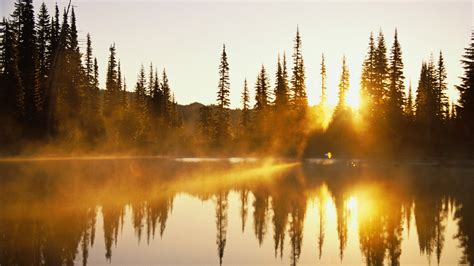 Reflection HD Wallpaper | Background Image | 1920x1080