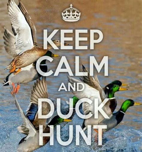 Theres Nothing Like Killing A Duck Things I Admire