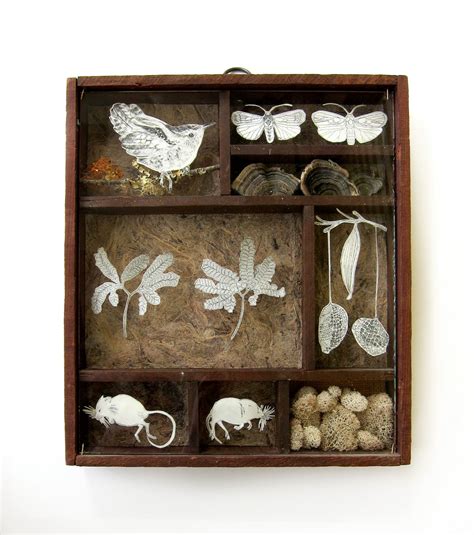 Naturalists Cabinet Mixed Media Shadow Box Original 19000 Via Etsy