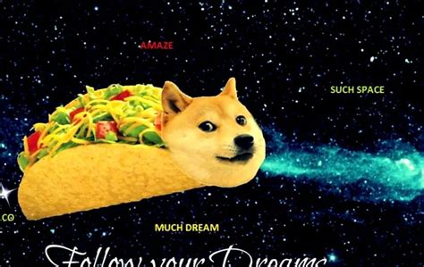 200 Wallpaper Meme Dog Images Myweb