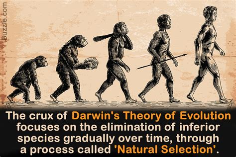 Charles Darwin An Introduction To The Theory Of Evolution Biology Wise