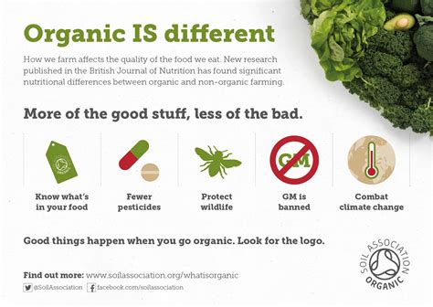 Organic Fruit And Veg Why Organic Soil Association
