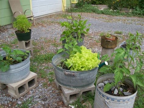 Price and other details may vary based on size and color. Galvanized Tub Gardening | ThriftyFun