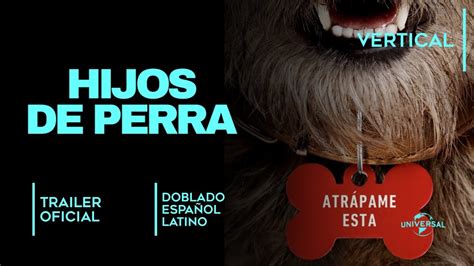 Hijos De Perra Strays 2023 Trailer Doblado Español Latino Vertical