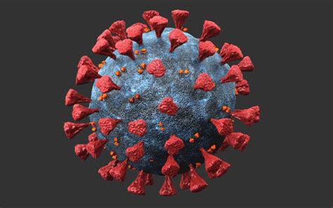 Video Así Se Ve La Primera Imagen Del Coronavirus En 3d