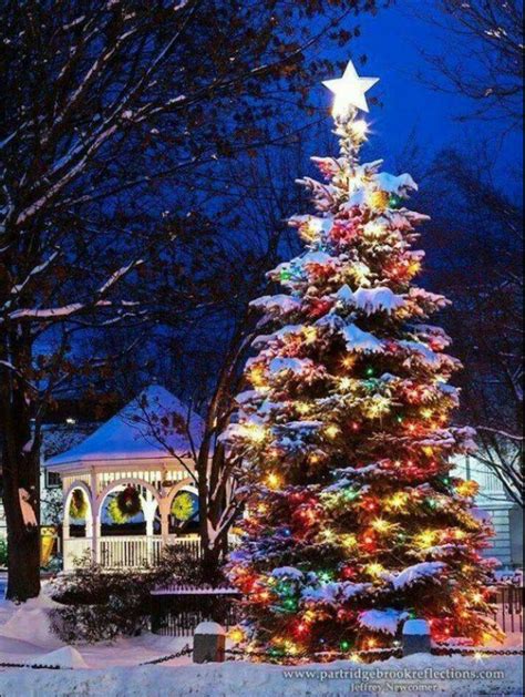 Pin By Jen Hartnett On Christmas Treesoutside Christmas Light