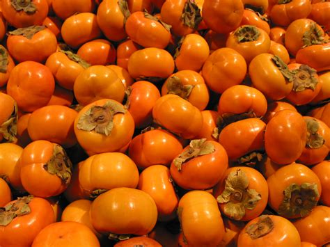 Free Persimmon Photo Persimmon Picture Persimmons Image Royalty Free