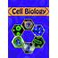 Cell Biology – Saras Publication Books For NEET NET TRB CBSE 