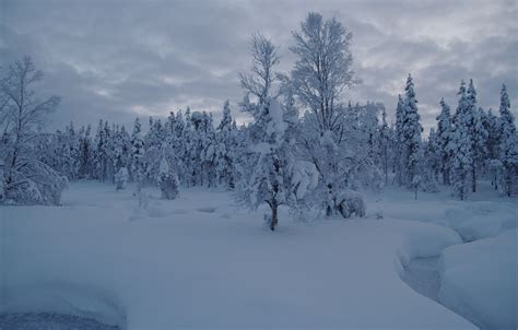Wallpaper Winter Forest Snow Trees Stream The Snow Finland