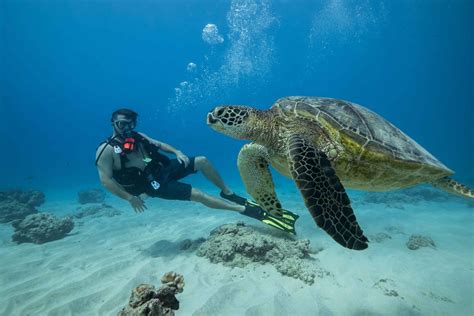 Waikiki Oahu Discovery Scuba Diving For Beginners In Hawaii My Guide