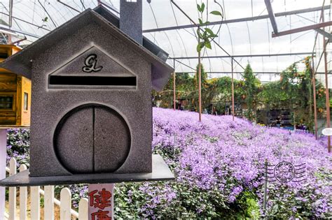 These farms usually offer free tours with the ability to purchase products afterward. Lavender Garden @ Cameron Highlands, Pahang - Crisp of Life