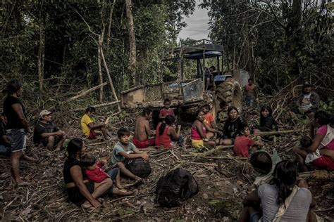 Lutando pelo futuro da Amazônia Internacional Estadão