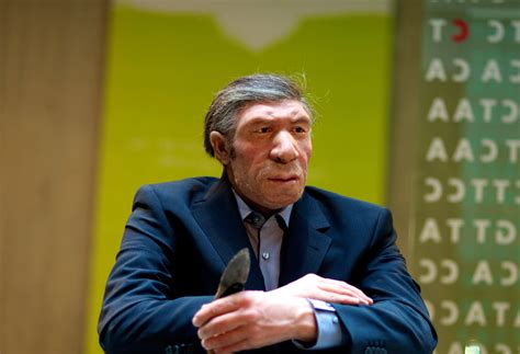 Neanderthal Dna In Modern Humans Map