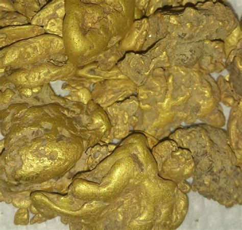 Raw Gold Bars Feature Pure At Best Price In Indore Rajendra And