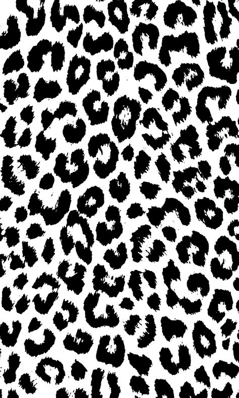 Black And White Animal Print Wallpapers Top Free Black And White