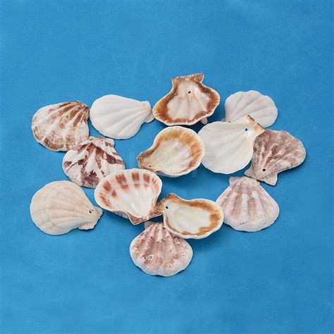 Wholesale Natural Scallop Shell Beads