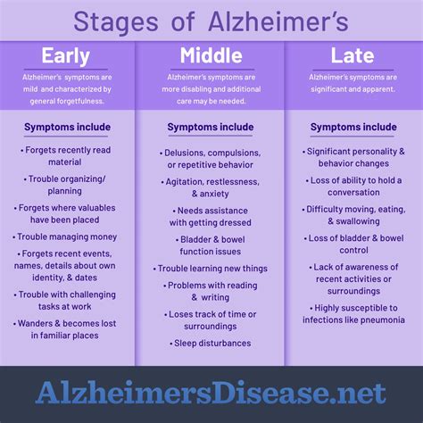 What Are The Three Stages Of Alzheimers Disease