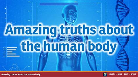 Amazing Truths About The Human Body Youtube