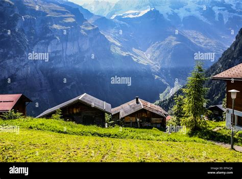 View Of The Swiss Alps Beautiful Gimmelwald Village Central