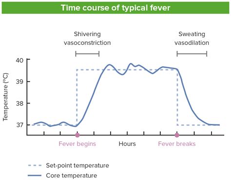 Fever Concise Medical Knowledge