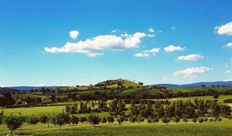 Best Yarra Valley Wine Tours For Wine Lovers