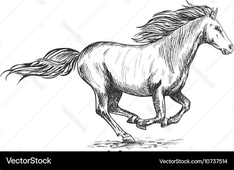 Running Horse Sketch ~ Running Horse By Aerettberg On Deviantart