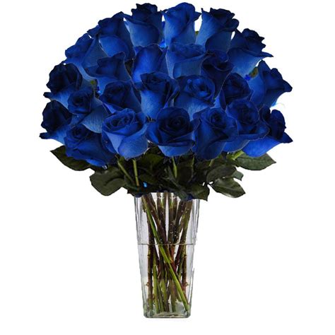 the ultimate bouquet gorgeous blue rose bouquet in clear vase 24 stem overnight shipping