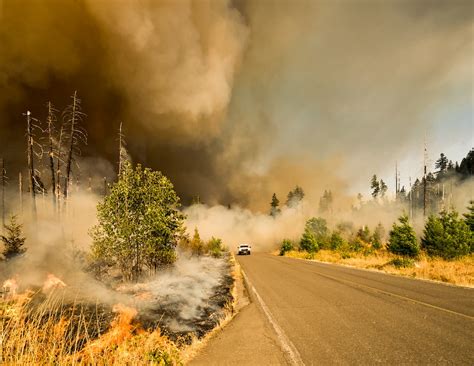 Wildfires Pictures Download Free Images On Unsplash