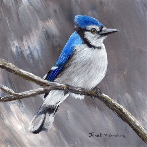 Bird Painting Art Blue Jay Sfa Wildlife Painting Etsy Australia