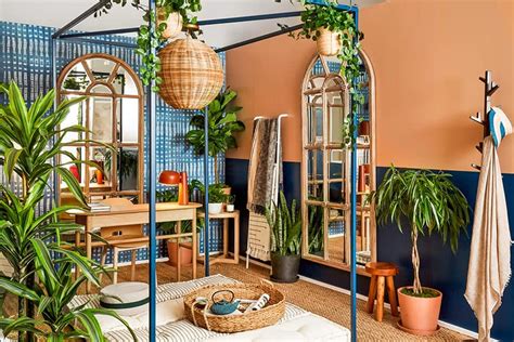 7 Best Indoor Décor Plants For Your Interior Designs Hamstech