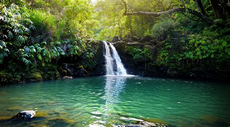 The Very Best Of Mauis Beautiful Waterfalls Ranked