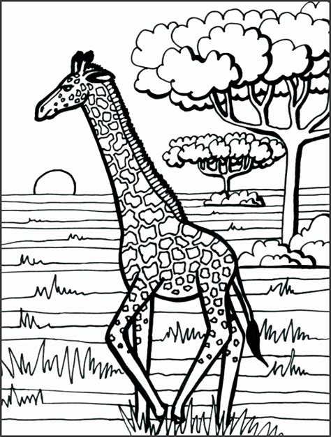 There are numerous issues simply being openly displayed and distributed for free on the internet, which include printable. 5 Giraffe Mask Template - SampleTemplatess - SampleTemplatess