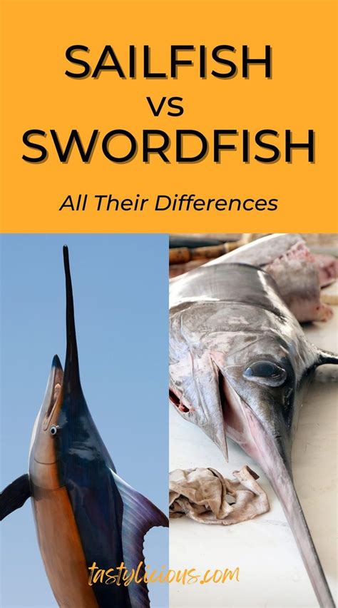 Sailfish Vs Swordfish All Their Differences Tastylicious In 2022