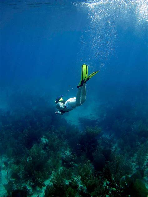 Underwater Pictures Snorkeling In Bahamas Going Here In November