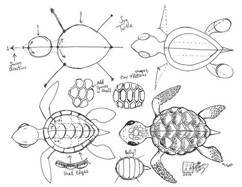 Turtle Shell Pattern Drawing At Explore Collection
