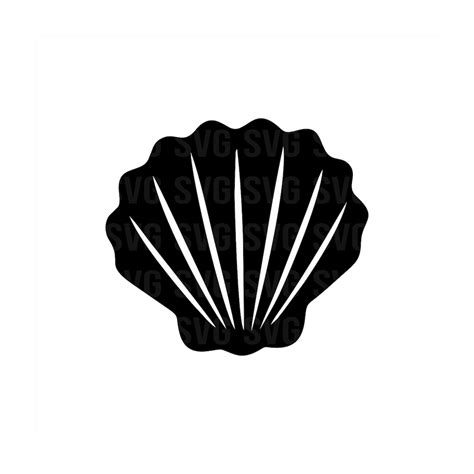 Seashell Svg Seashell Silhouette Svg Seashell Cricut File Svg Ocean