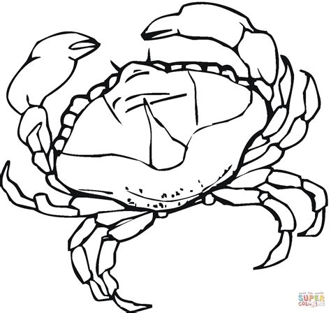 Blue Crab Drawing Sketch Coloring Page