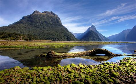 Hd wallpapers and backgrounds for desktop, mobile and tablet in full high definition widescreen, 4k ultra hd, 5k, 8k resolutions download for osx, windows latest hd wallpapers & background for desktop and mobile. Milford Sound New Zealand Hd Wallpapers For Laptop ...