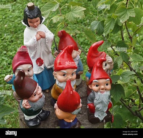 Garden Gnomes Snow White And The Seven Dwarfs Stock Photo Alamy