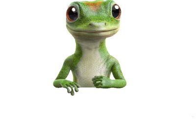 Geico renters insurance contact - insurance