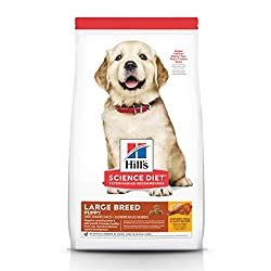 Includes a detailed review and unbiased star rating for each brand. Best Dog Food For German Shepherds With Sensitive Stomachs