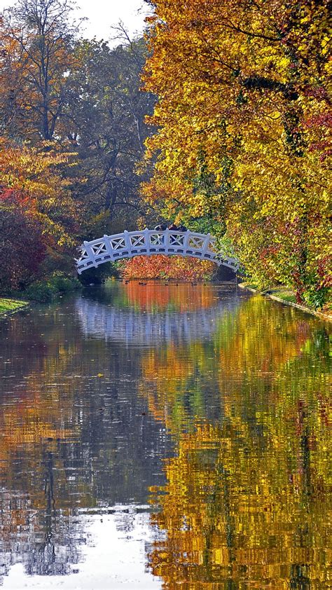 Download 1080x1920 River Bridge Autumn Trees Reflection Wallpapers
