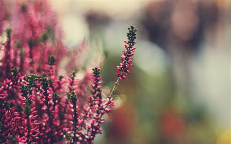 Explora 82.205 fotografías e imágenes de stock sobre fondos facebook o realiza una nueva búsqueda para encontrar más fotografías e imágenes de stock. Fondos de flores para FaceBook - Imagui
