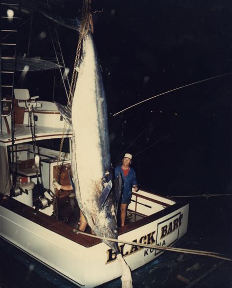 Photos Of Huge Pacific Blue Marlin Some Of The Largest Ever Caught